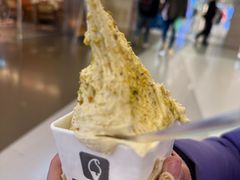 -野人先生现做冰淇淋(北京王府井东方新天地店)