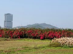 -光明小镇欢乐田园