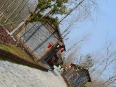 -合肥滨湖国家森林公园