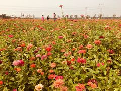 -皇粮浜公园