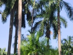 -广州珠江公园