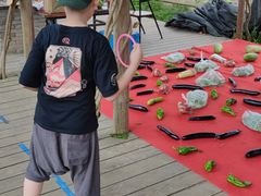 -前小桔亲子创意农场·草莓采摘·露营烧烤