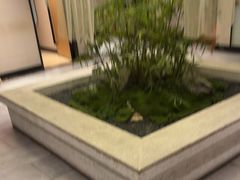 -绿杨春·淮扬宴(庐山路店)
