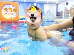 -沥鲨亲子游泳俱乐部(金沙洲中心)