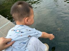 -南翔镇银翔湖公园