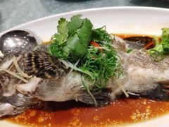 -北海渔村酒楼·粤菜海鲜点心(新华店)