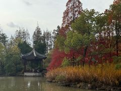 -瀛洲公园