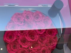 -ROSEONLY诺誓(青岛万象城店)