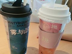 -雾与山茶(大禹城店)