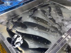 -三旗百汇商品城