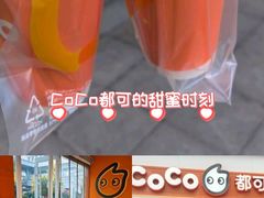 -CoCo都可(宝龙店)