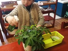 -伊顿幼儿园(济南大地锐城校区)