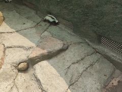 -沈阳森林动物园
