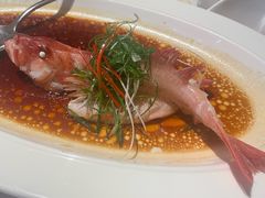 清蒸东星斑-79号渔船海鲜饭店(宝安店)