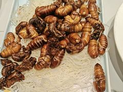 -和源祥·日照菜扛把子(万平口一店)