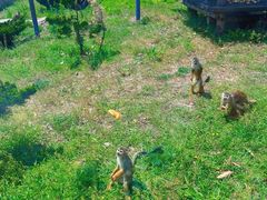 -大连森林动物园