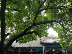 -张学良旧居陈列馆