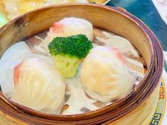 -憶廟街 X 沙角邨(太古城店)