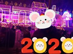 -新五爱道夜市