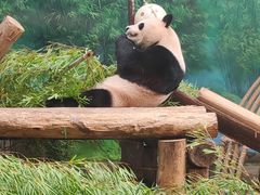 -杭州动物园