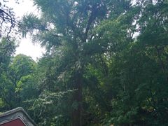 -北京上方山国家森林公园
