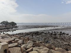 -宝安西湾红树林湿地公园