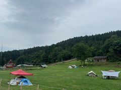 -武陵山森林公园