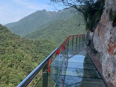 -千岛湖石林