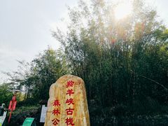 -羚羊峡古栈道森林公园