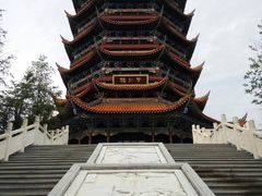 -铁山坪森林公园