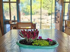 -三忘湖 SWANSEEN(柳荫公园店)