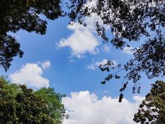 -上海博物馆