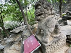 -大觉寺-停车场