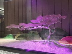 -红鼎豆捞·非遗鲍皇汤火锅(宝丰路店)