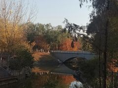 -大兴滨河森林公园