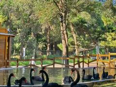 -南戴河国际娱乐中心