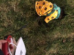 -comecome来吧宠物(奥克斯中心店)