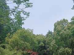 -敬亭山风景名胜区