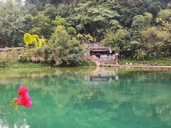 -靖西鹅泉风景区