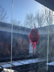 -爱儿美儿童摄影(朝阳公园店)