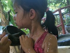 -100蛋泥浆浴