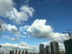 -MRX狼人杀俱乐部(黄浦店)