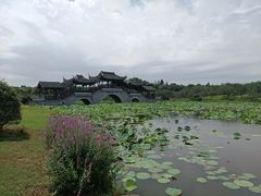 -上海海湾国家森林公园