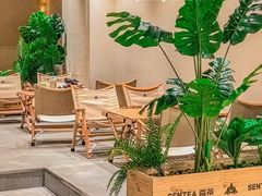-森茶(湛江万达店)