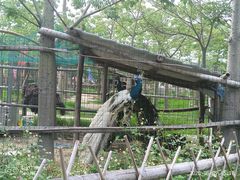 -广东花都香草世界旅游度假区