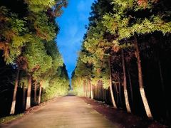 -seeu coffee(江滩店)