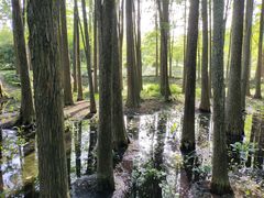 -杭州植物园