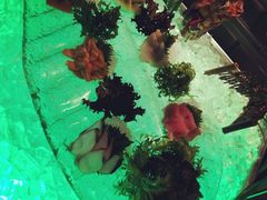 -棕榈阁·巴西烤肉海鲜自助餐厅(中州皇冠假日酒店)