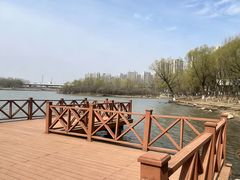 -丁香湖公园
