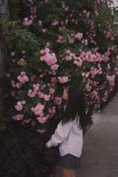 -Y-STUDIO原理